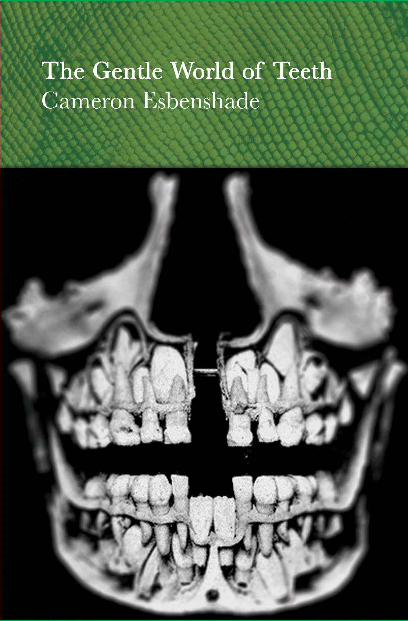 The Gentle World of Teeth | Cameron Esbenshade